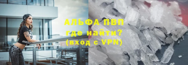 прущие грибы Белоозёрский