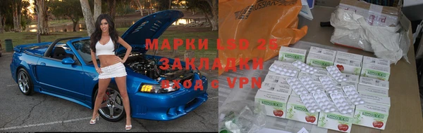 прущие грибы Белоозёрский